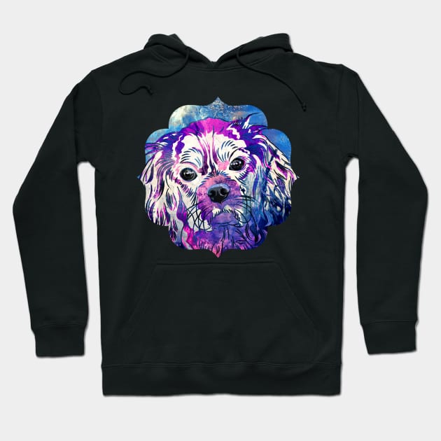 Cavalier King Charles Spaniel Hoodie by Nartissima